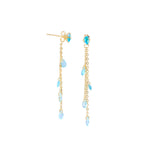 Colored Dangling Clear Stone Earring