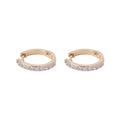 Pavee Hoops