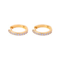 Pavee Hoops