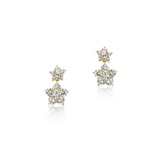 Carina Earrings